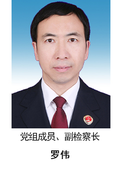 党组成员、副检察长 罗伟