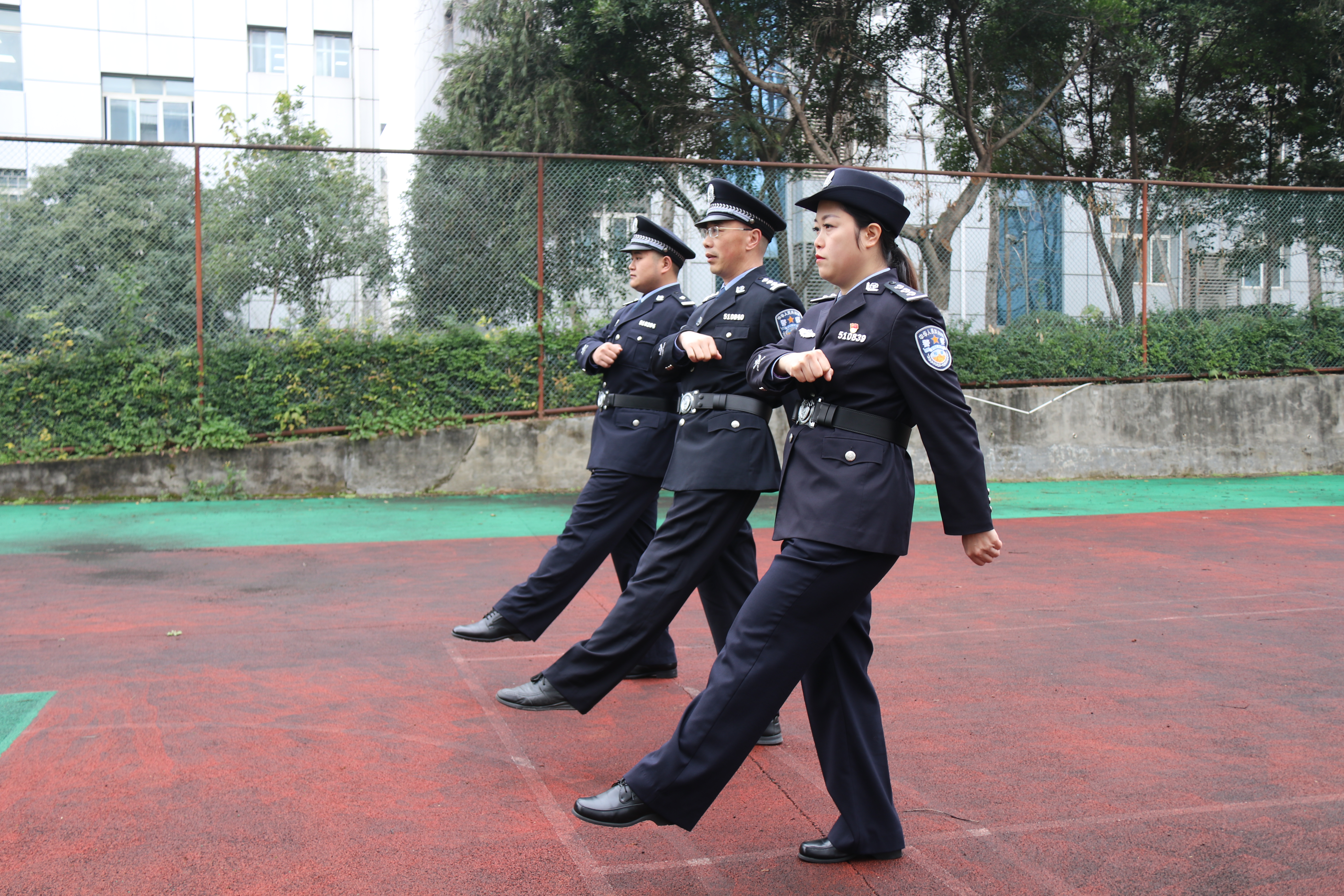 ������ �س��� ������������¤�ؼ��Ժ��չ�������й����񾯲����ף�