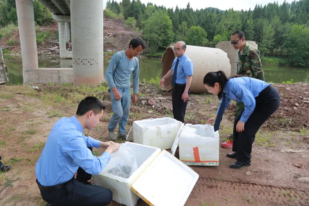 营山县检察院开展增殖放流 修复水域生态环境